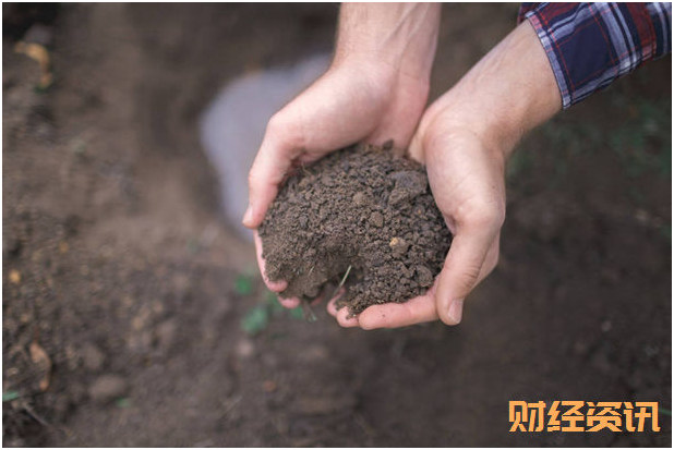 蚊帐空调:用身份证查驾驶证